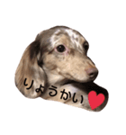 ちくわとつみれ（個別スタンプ：8）