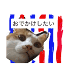 にゃおちん  5（個別スタンプ：6）