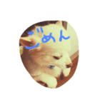 むくくくーん（個別スタンプ：3）
