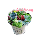 Succulents（個別スタンプ：4）