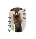 ねこな毎日（個別スタンプ：2）