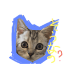 うにまるなの。（個別スタンプ：2）