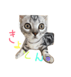 うにまるなの。（個別スタンプ：5）