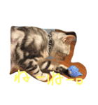 うにまるなの。（個別スタンプ：10）