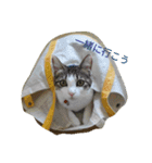 あそぼ。（個別スタンプ：2）