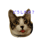 あそぼ。（個別スタンプ：4）