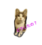 あそぼ。（個別スタンプ：7）