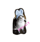 あそぼ。（個別スタンプ：16）