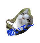 あそぼ。（個別スタンプ：18）