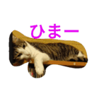 あそぼ。（個別スタンプ：19）