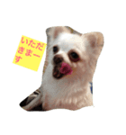 doing（個別スタンプ：1）