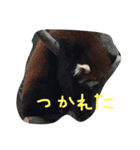 doing（個別スタンプ：5）