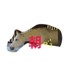 doing（個別スタンプ：8）