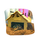 バップファミリーズ（個別スタンプ：12）