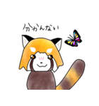 レッサーパンダの「れちゃまる」（個別スタンプ：11）