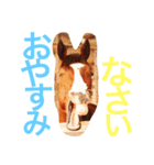 敬語の馬スタンプ（個別スタンプ：10）