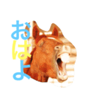 敬語の馬スタンプ（個別スタンプ：12）