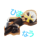 敬語の馬スタンプ（個別スタンプ：14）
