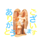 敬語の馬スタンプ（個別スタンプ：17）
