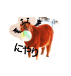 敬語の馬スタンプ（個別スタンプ：19）