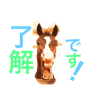 敬語の馬スタンプ（個別スタンプ：26）