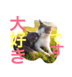 敬語の馬スタンプ（個別スタンプ：27）