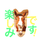 敬語の馬スタンプ（個別スタンプ：30）
