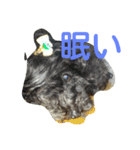 dog and animal's（個別スタンプ：2）