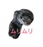 dog and animal's（個別スタンプ：4）