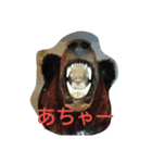 dog and animal's（個別スタンプ：5）