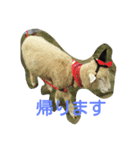 dog and animal's（個別スタンプ：8）
