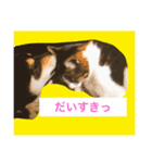 ぼく、豆太郎です！かまってちゃんです！（個別スタンプ：5）