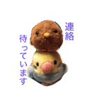 かわゆい家族（個別スタンプ：19）