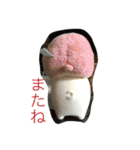 かわゆい家族（個別スタンプ：23）
