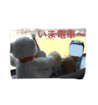 かわゆい家族（個別スタンプ：29）