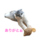 NEKO YASHIKI（個別スタンプ：10）