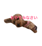 ポッケ（個別スタンプ：5）