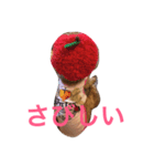ポッケ（個別スタンプ：8）
