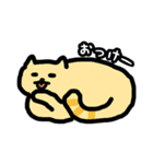 yuru-cat taru（個別スタンプ：1）