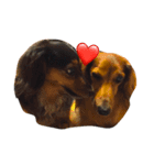 私の愛する愛犬（個別スタンプ：2）