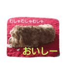 スプードル・ダギーくん（個別スタンプ：17）