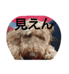 スプードル・ダギーくん（個別スタンプ：18）