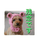 本性は凶暴だよ。（個別スタンプ：2）