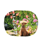 本性は凶暴だよ。（個別スタンプ：6）