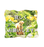 本性は凶暴だよ。（個別スタンプ：7）