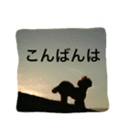 本性は凶暴だよ。（個別スタンプ：14）