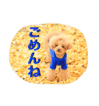 本性は凶暴だよ。（個別スタンプ：15）