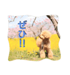 本性は凶暴だよ。（個別スタンプ：24）