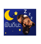 2 ways（個別スタンプ：8）