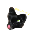 私の可愛い愛犬（個別スタンプ：4）